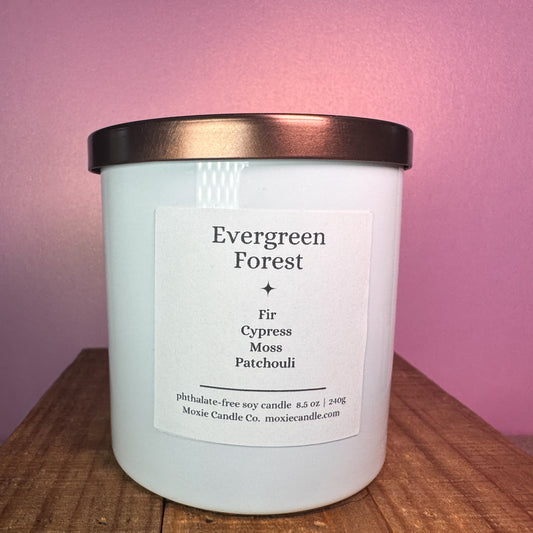 Evergreen Forest